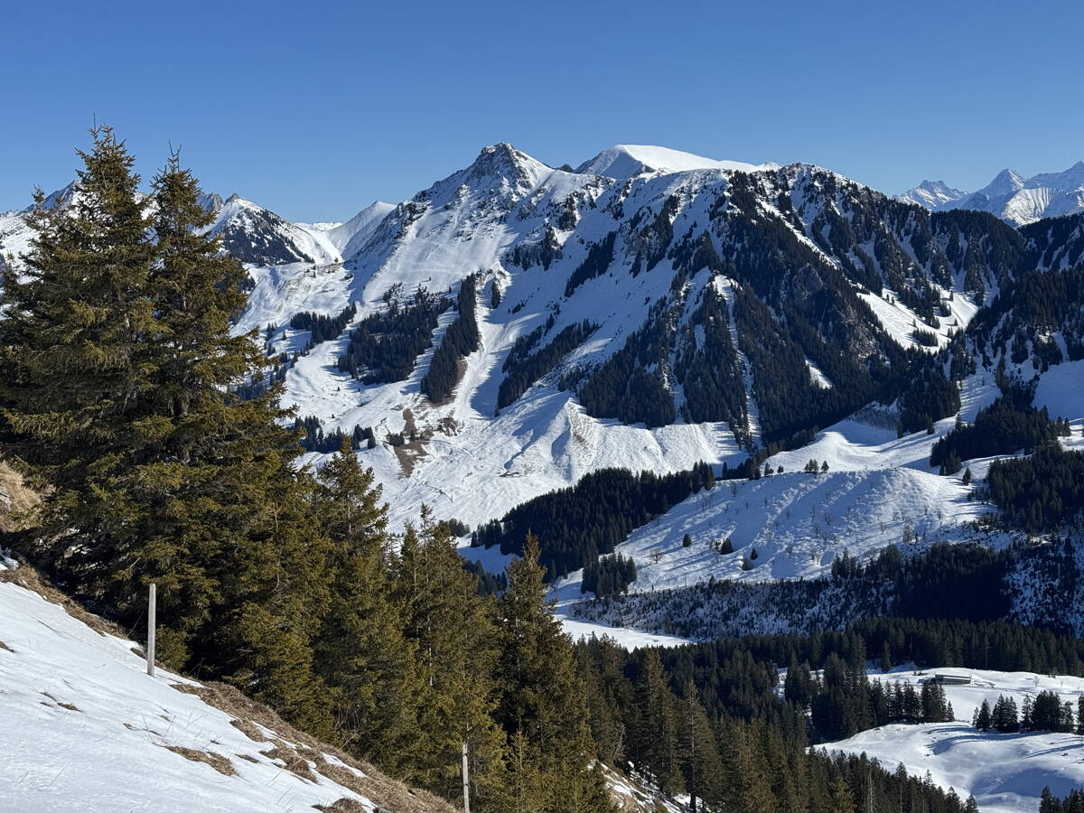 genuss-skitouren_gantrisch_6.jpg