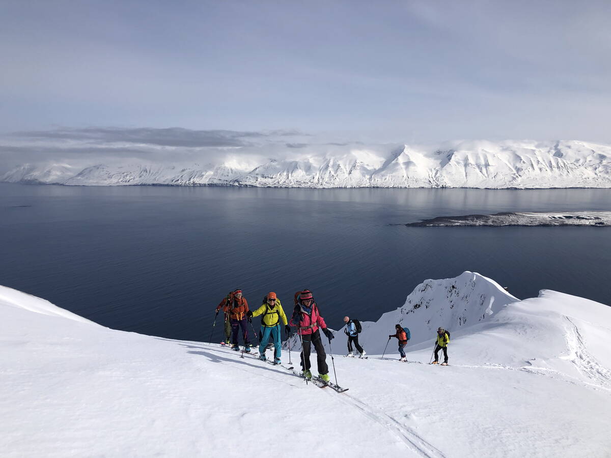 skitouren_island_-_berg-welt_-_4-2022_55.jpg