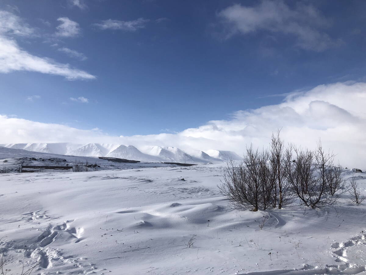 skitouren_island_-_berg-welt_-_4-2022_10.jpg