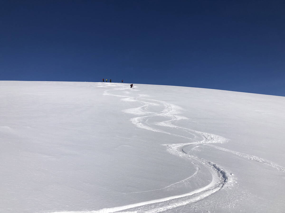 skitouren_island_-_berg-welt_-_4-2022_39.jpg