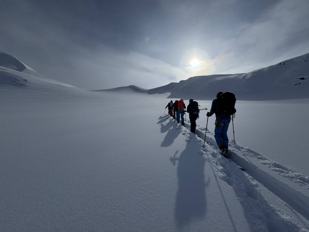 spitzbergen_-_atomfjella_37.jpg