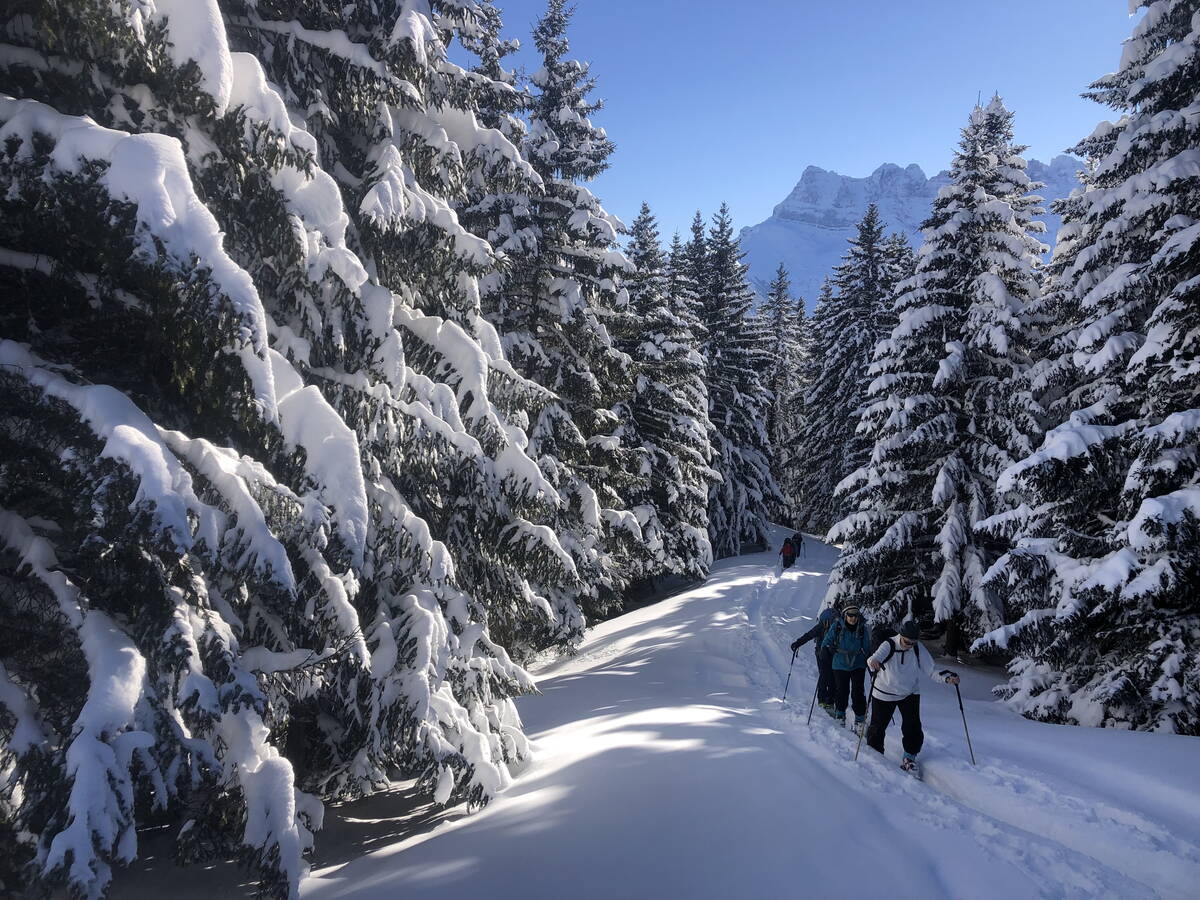 leichte_genuss-skitouren_chablais_7.jpg