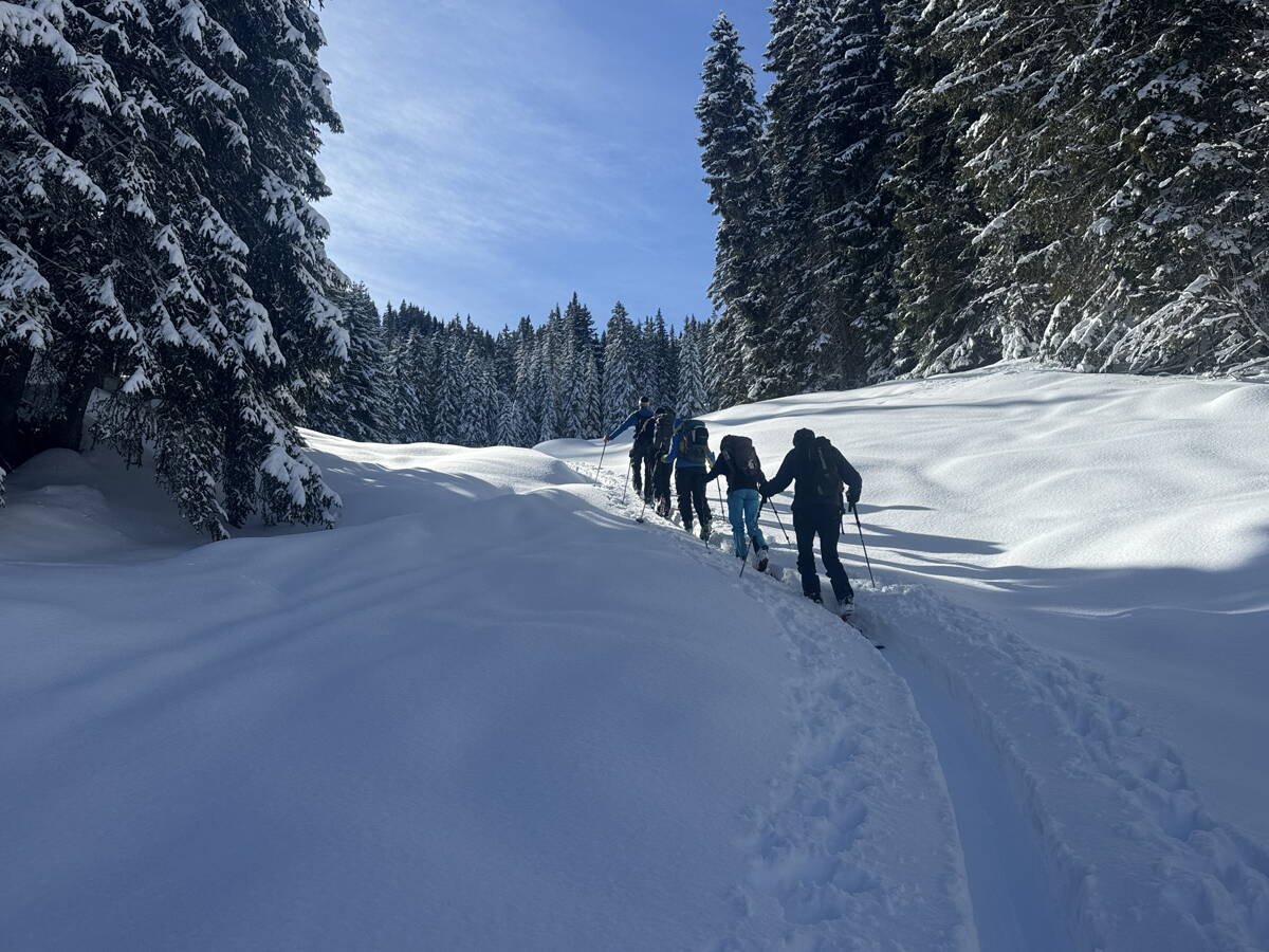 genuss-skitouren_diemtigtal_5.jpg