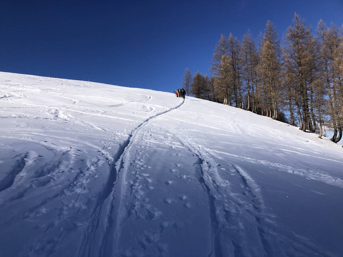 genuss-skitouren_obersimmental_10.jpg