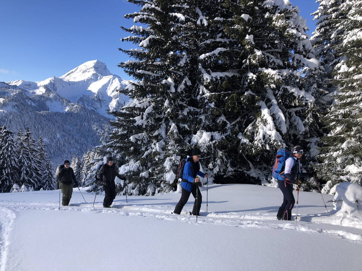 leichte_genuss-skitouren_chablais_11.jpg