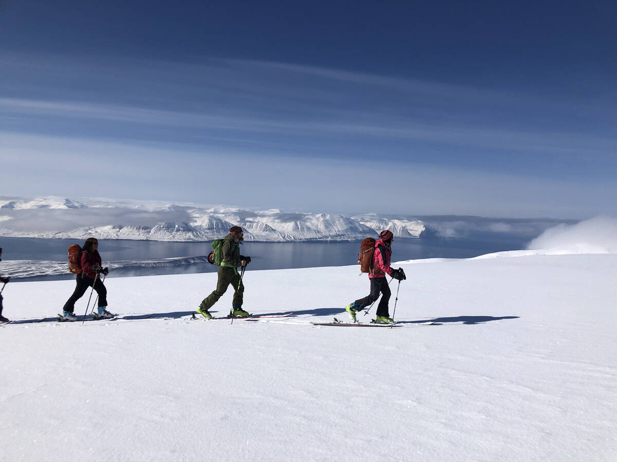 skitouren_island_-_berg-welt_-_4-2022_36.jpg