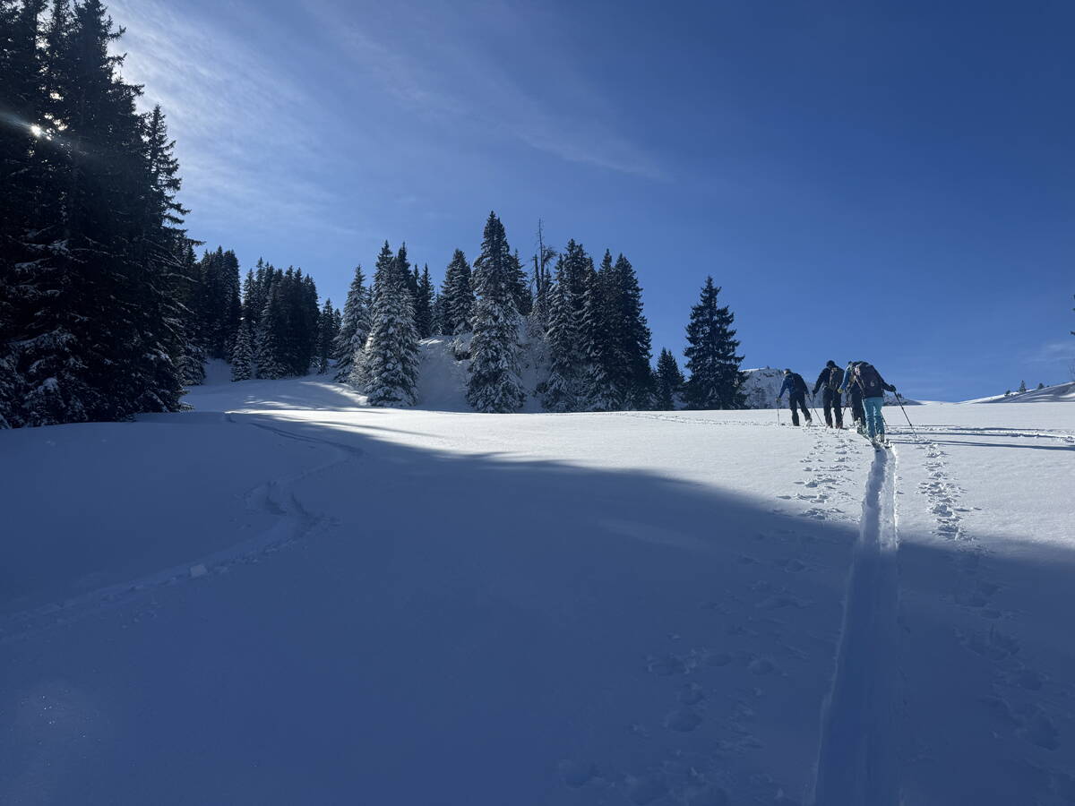 genuss-skitouren_diemtigtal_6.jpg