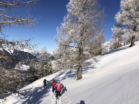 Genuss Skitouren