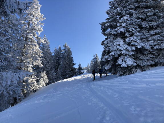 Genuss Skitouren