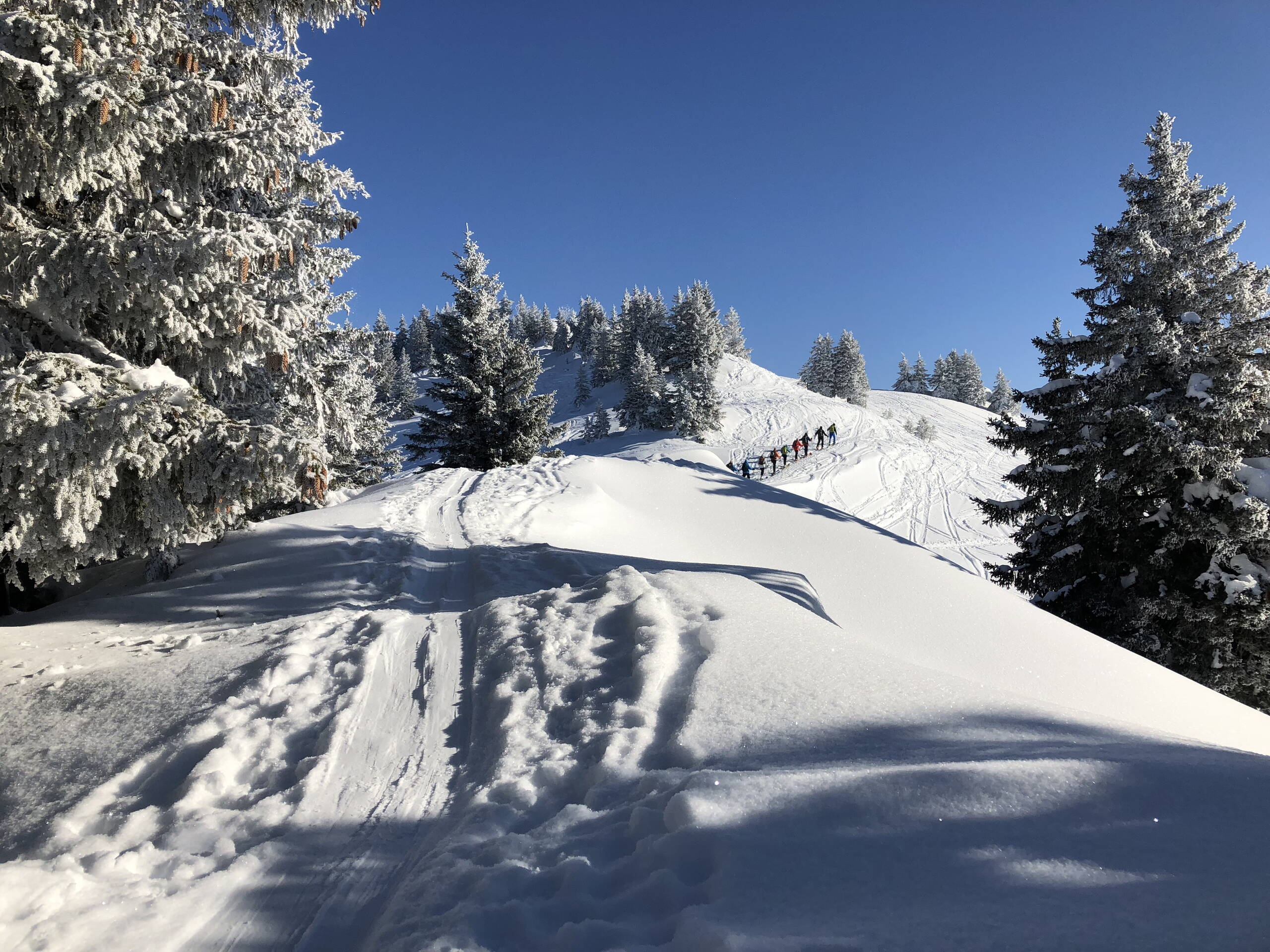 Genuss Skitouren