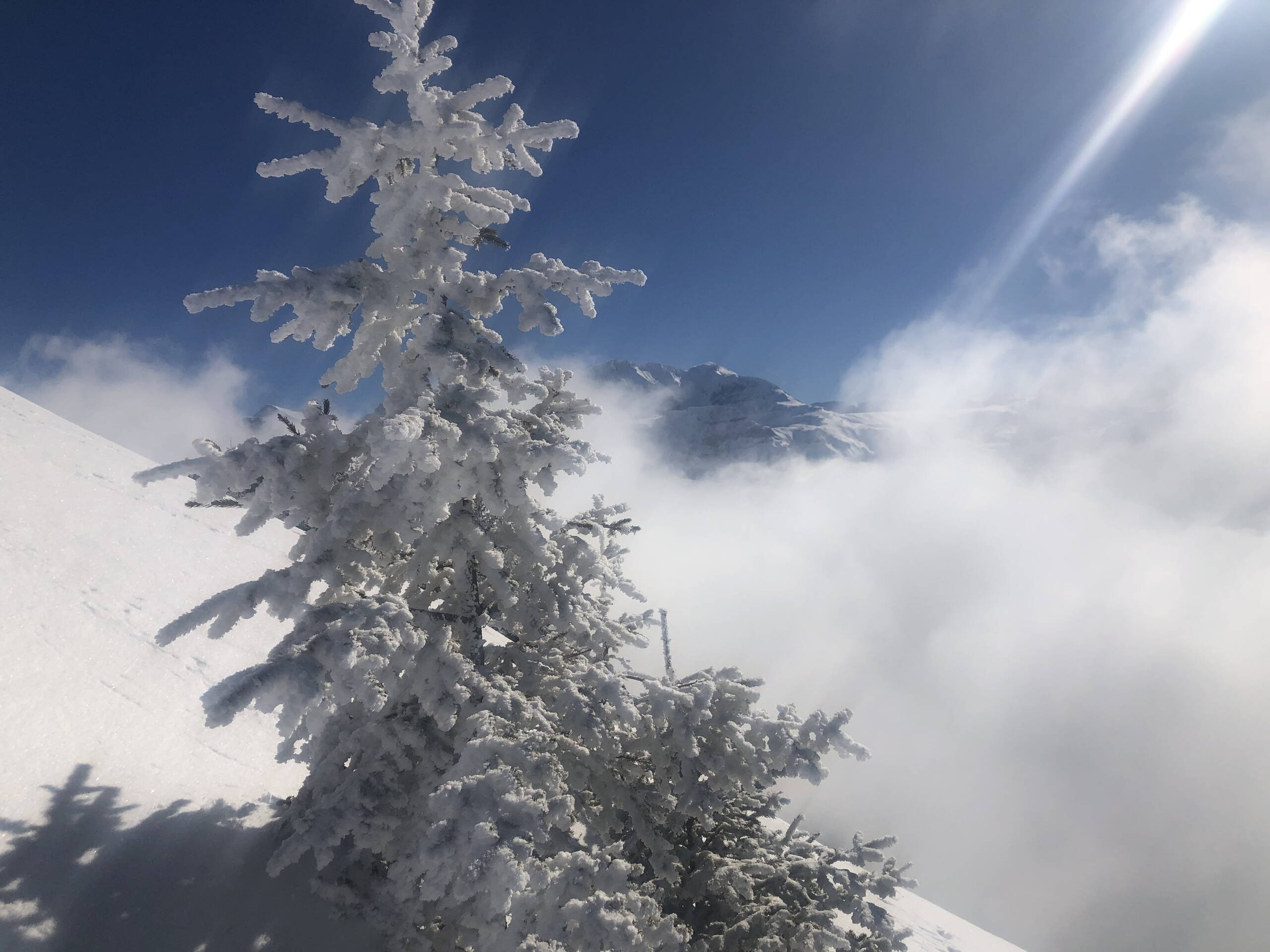 Genuss Skitouren