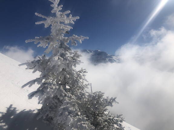 Genuss Skitouren