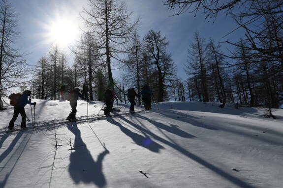 Genuss Skitouren Obernberger Tal