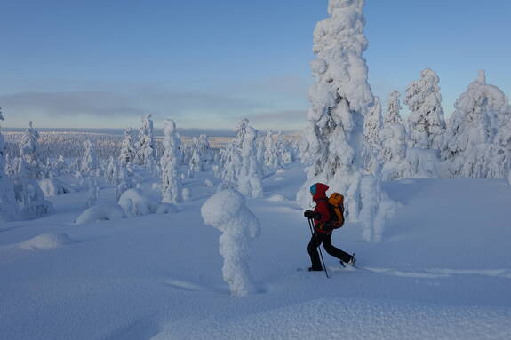 Schneeschuh-Reisen berg-welt